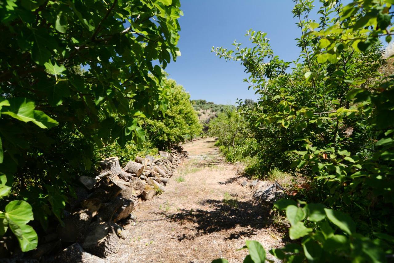 Villa Moinho Da Capela Campo Maior Esterno foto